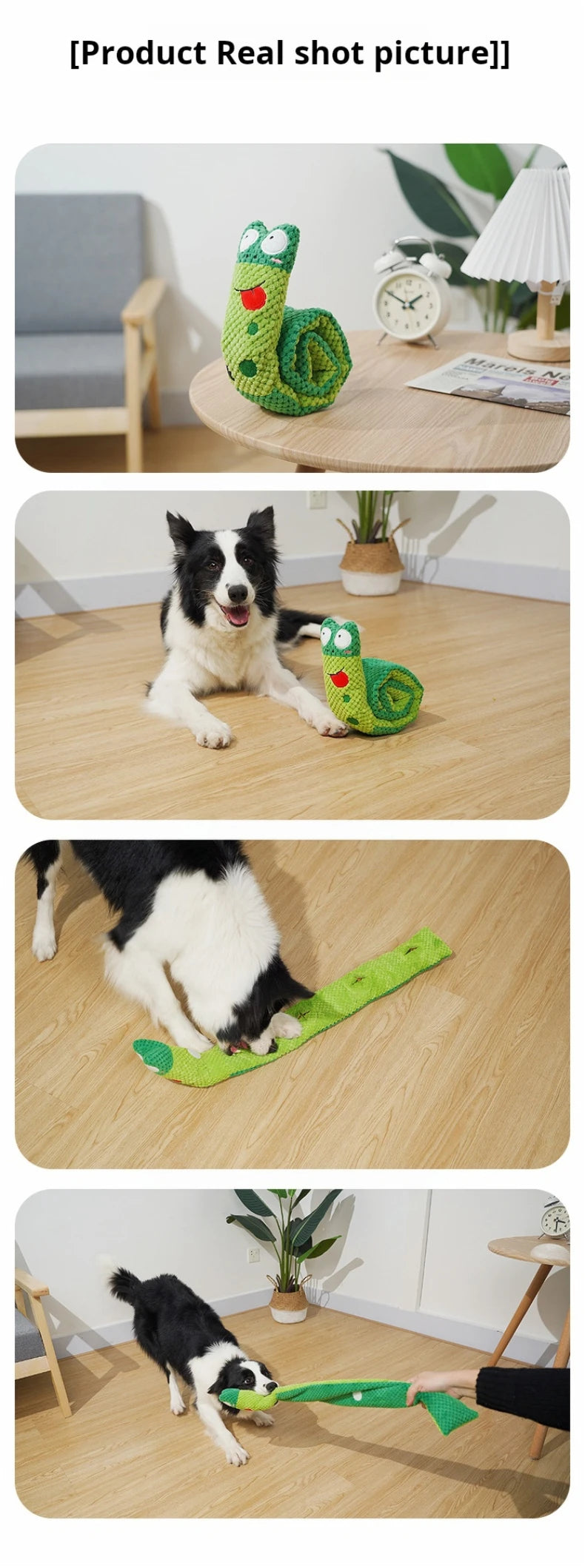 Dog Puzzle Feeder Toy – Foldable Snail Design with Squeaker