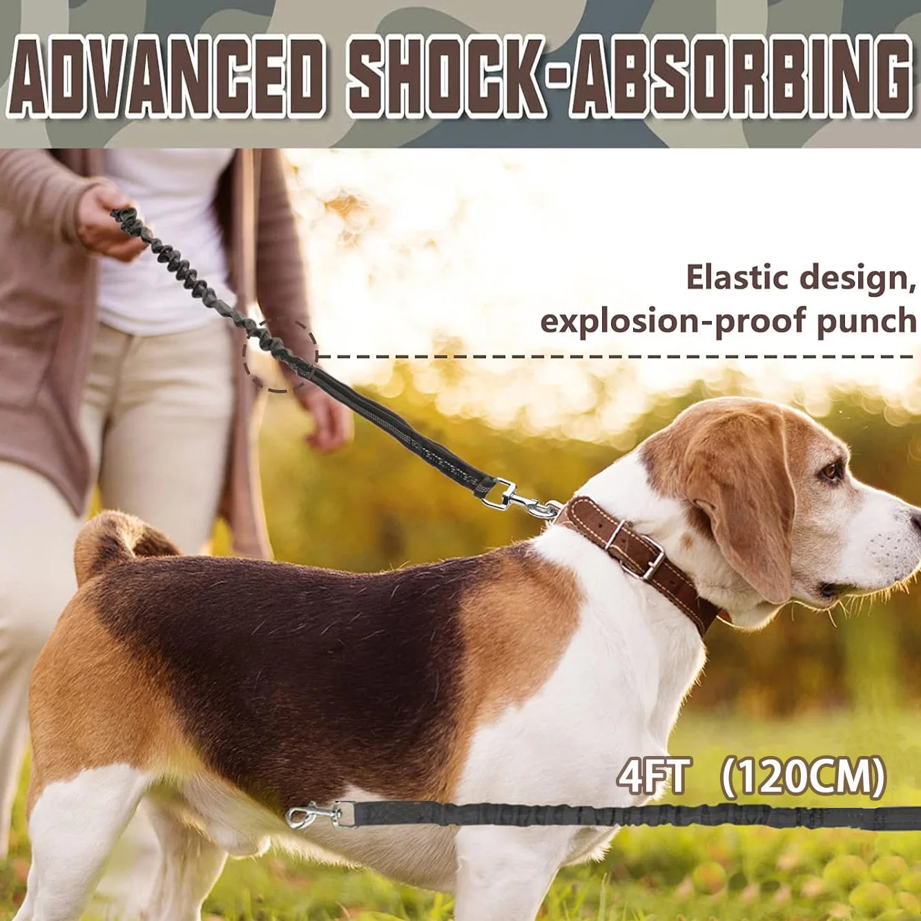 Bungee Dog Leash for Large Dogs – Heavy Duty, Shock-Absorbing, No-Pull Lead