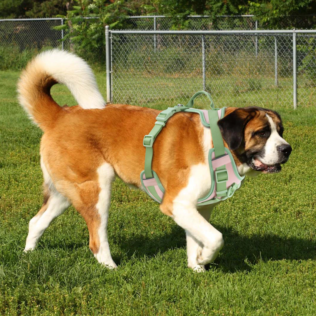 Splicing Color Dog Harness – No-Pull, Adjustable & Personalized