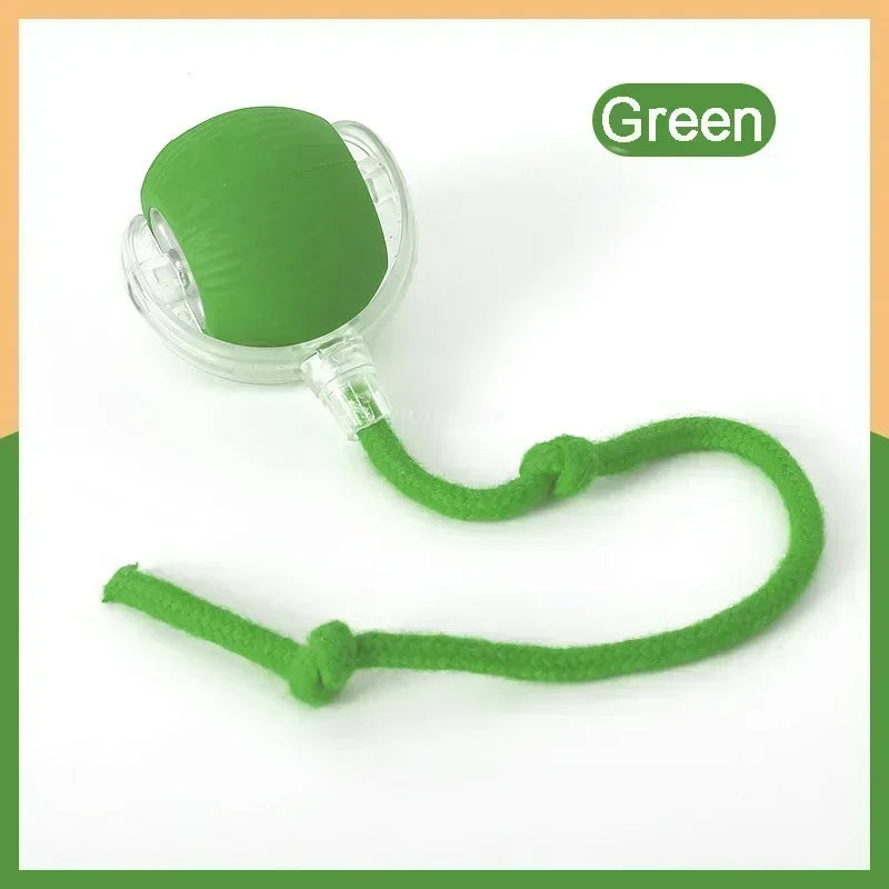 Smart Rolling Ball Toy – Rechargeable Interactive Toy for Cats & Dogs