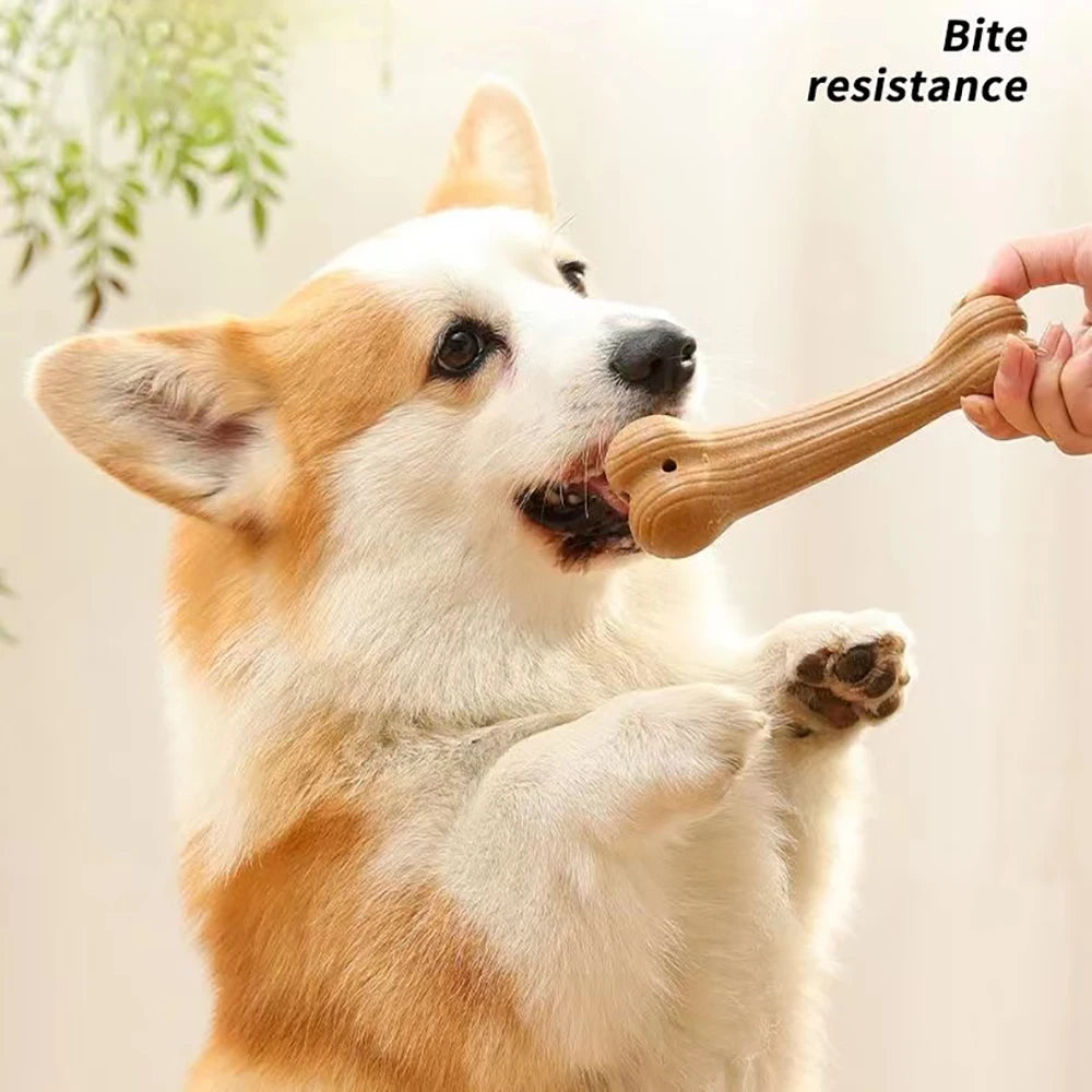 Durable Bone Dog Chew Stick – Bite Resistant Molar Cleaner 🐾🦴