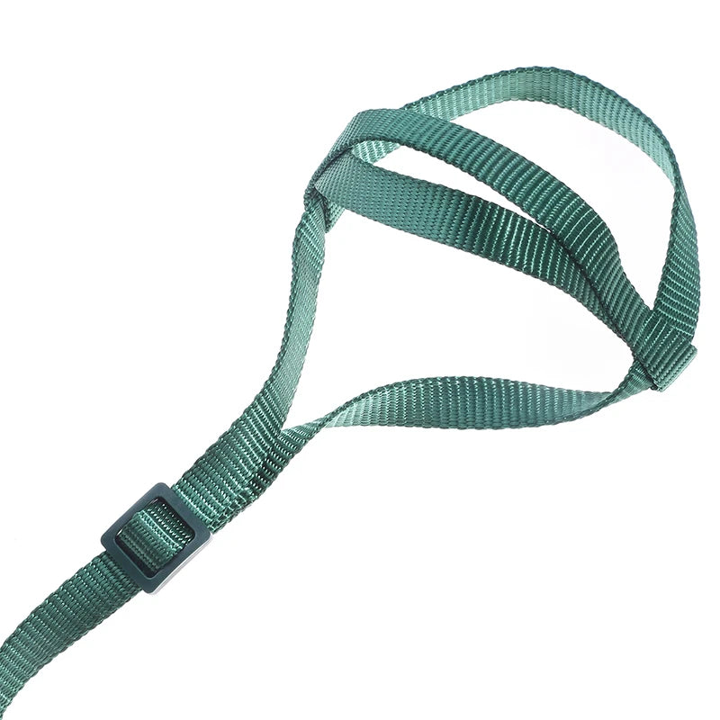 Bird Flying Training Leash – Anti-Bite Parrot Harness & Traction Rope