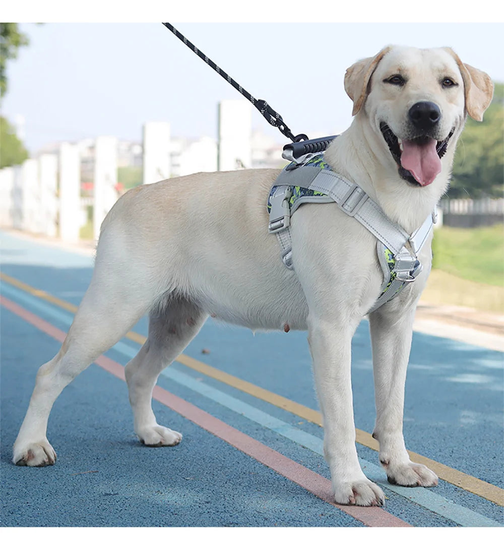 🐾 Multifunctional Reflective Dog Harness – Outdoor Training & Comfort Vest for Medium & Large Dogs