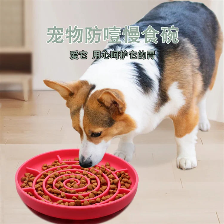 Slow Feeder Pet Bowl – Anti-Slip & Anti-Choking for Cats & Puppies 🐾🍽️