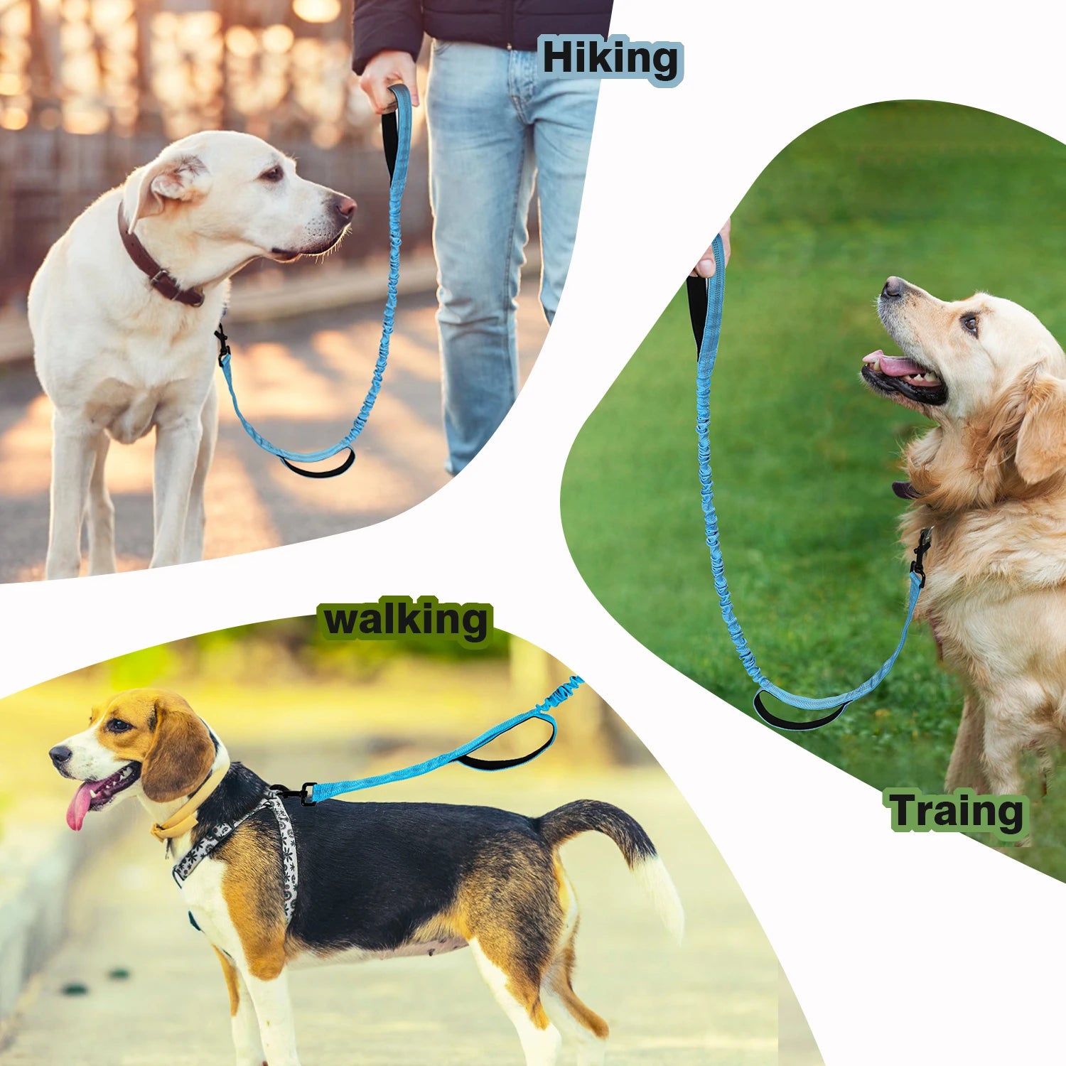 Bungee Dog Leash, Heavy Duty Dog Leash with Shock Absorption, 2 Padded Handles Training Leash, Improved Dog Safety and Comfort