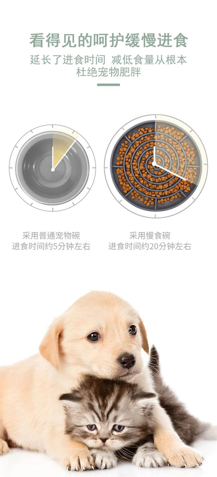 Slow Feeder Pet Bowl – Anti-Slip & Anti-Choking for Cats & Puppies 🐾🍽️