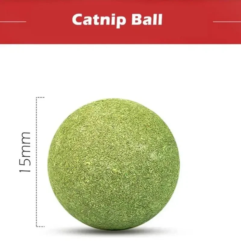 10pcs Natural Mint Catnip Balls – Healthy Toy & Snack for Cats