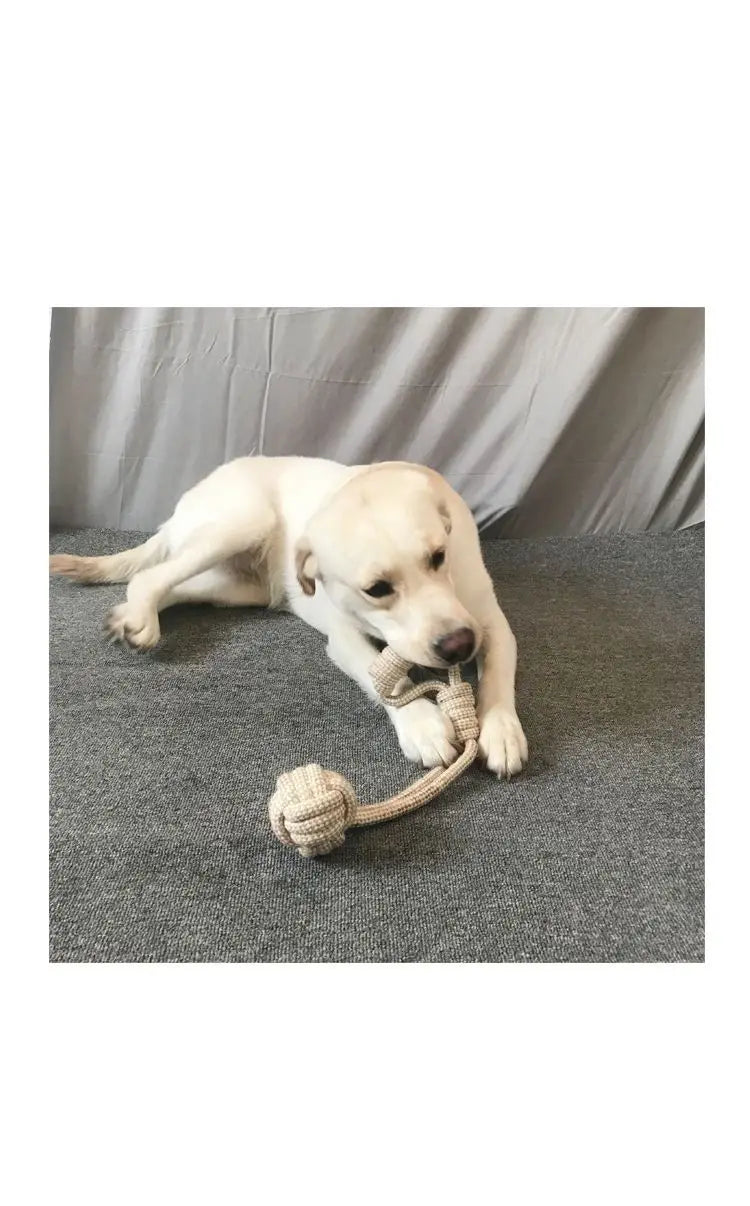 Knot Chew Toy – Teeth Cleaning & Interactive Play for Pets 🪢🐾