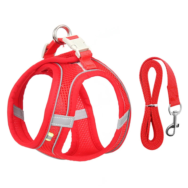 🐾 Adjustable Dog Harness & Leash Set – For Small Dogs, Cats, French Bulldogs, Chihuahuas & Pugs