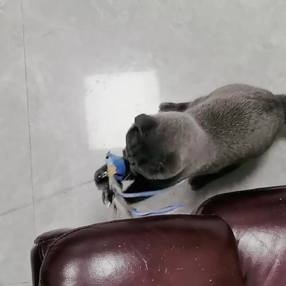 2pcs Replacement Feather Heads for Cat Teaser Stick Toy – Bird Pet Toy