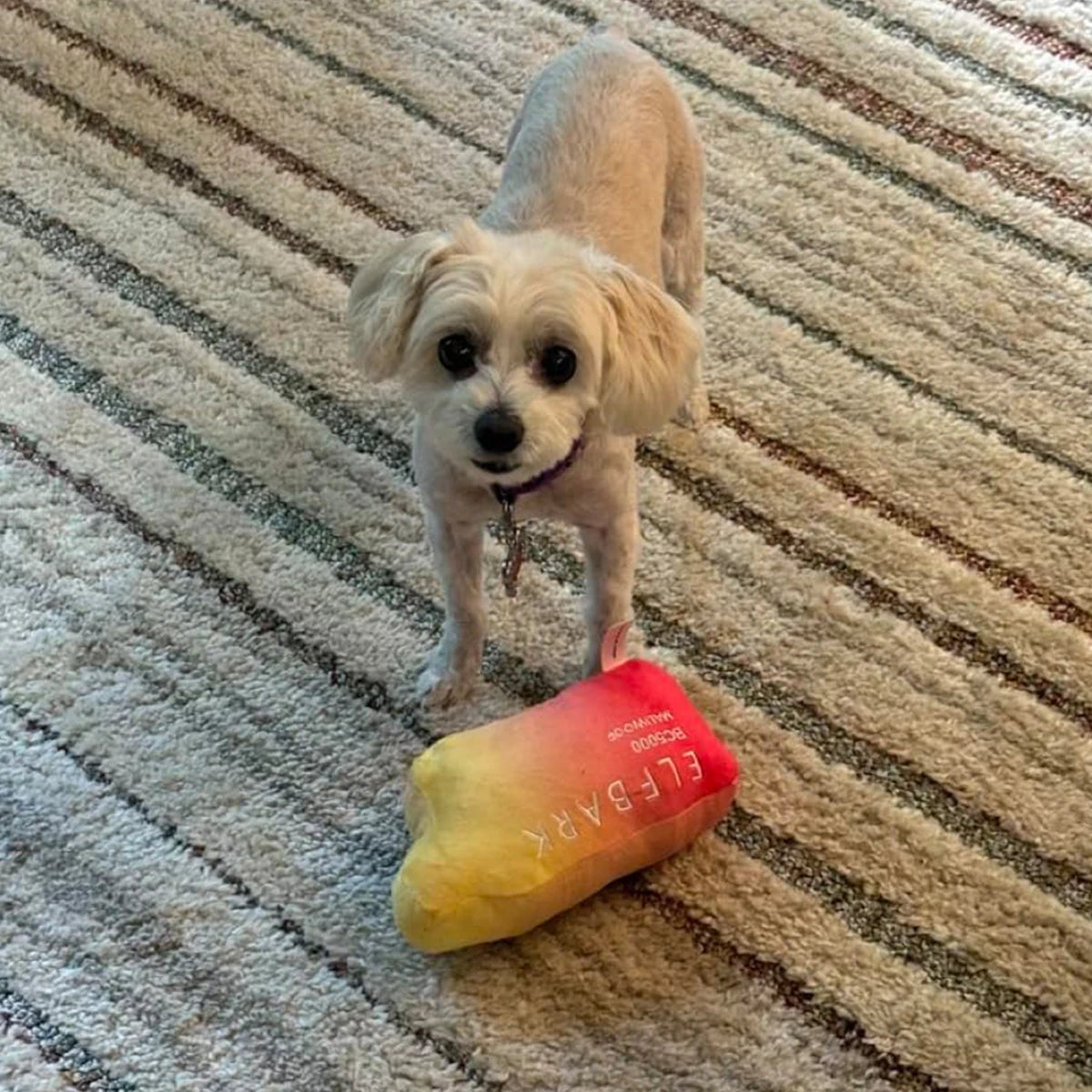 Funny Dog Toys with Squeaker – Cute Parody Plush Puppy and Dog Toys for Small, Medium & Large Dogs