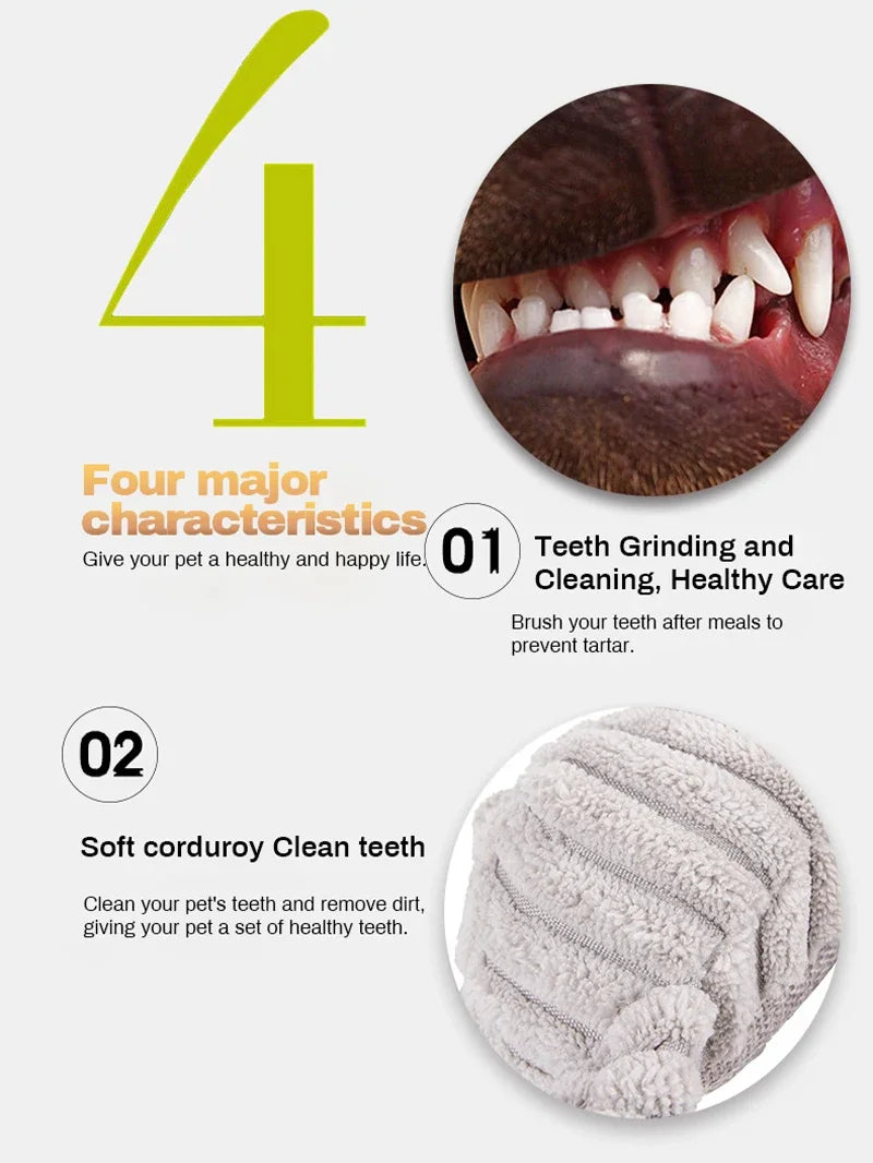 Plush Animal Squeaky Dog Toy – Bite-Resistant Chew & Play 🐾🧸