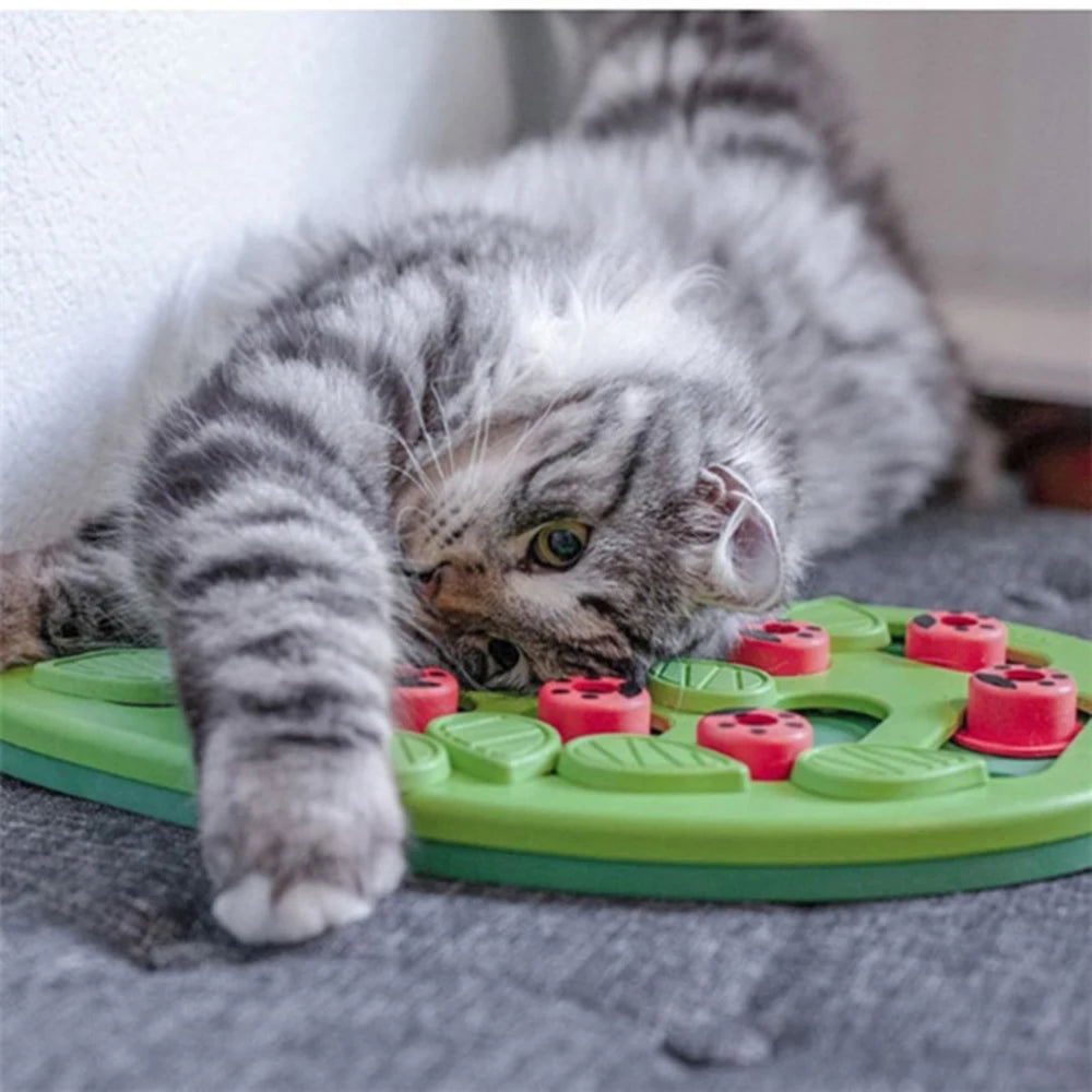 Rainy Day Puzzle & Play – Interactive Cat Treat Puzzle Toy with Scratch Board