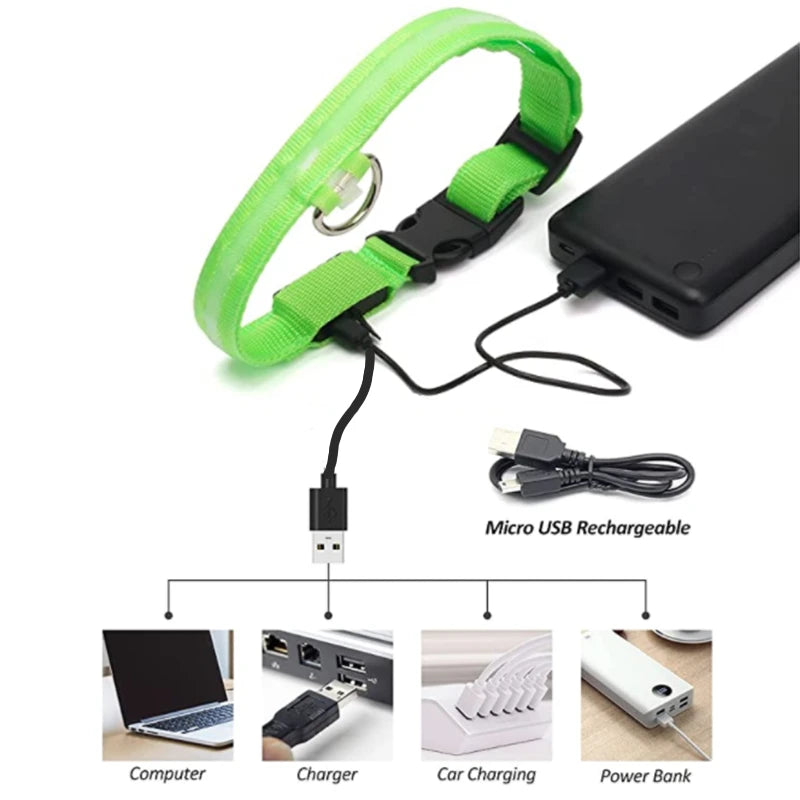 USB Rechargeable LED Glowing Pet Collar – Adjustable Night Light Safety Collar for Dogs & Cats