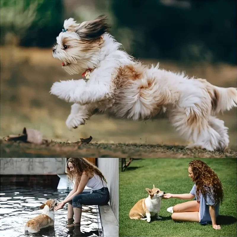 Bite-Resistant EVA Flying Disc for Dogs – Floating Training Ring for Outdoor Interactive Play