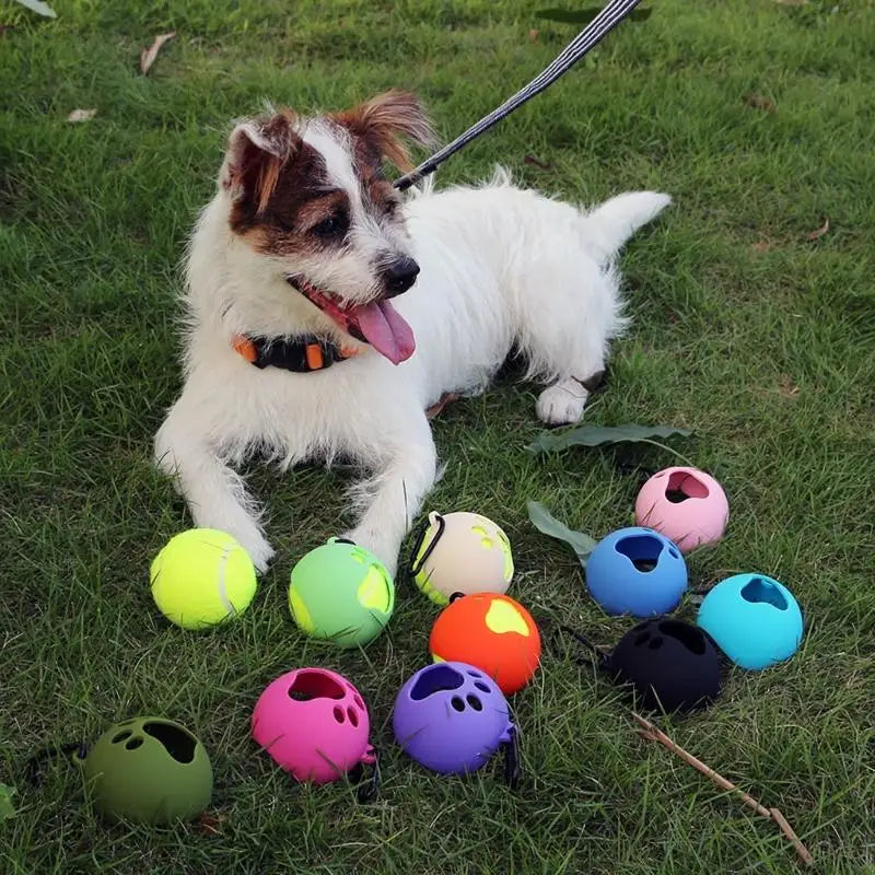 QXNB Tennis Ball Holder with Dog Leash Attachment – Hands-Free Pet Ball Cover Holder for Walks & Training