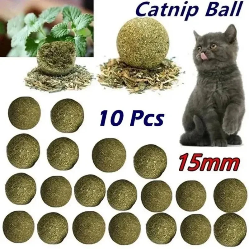 10pcs Natural Mint Catnip Balls – Healthy Toy & Snack for Cats