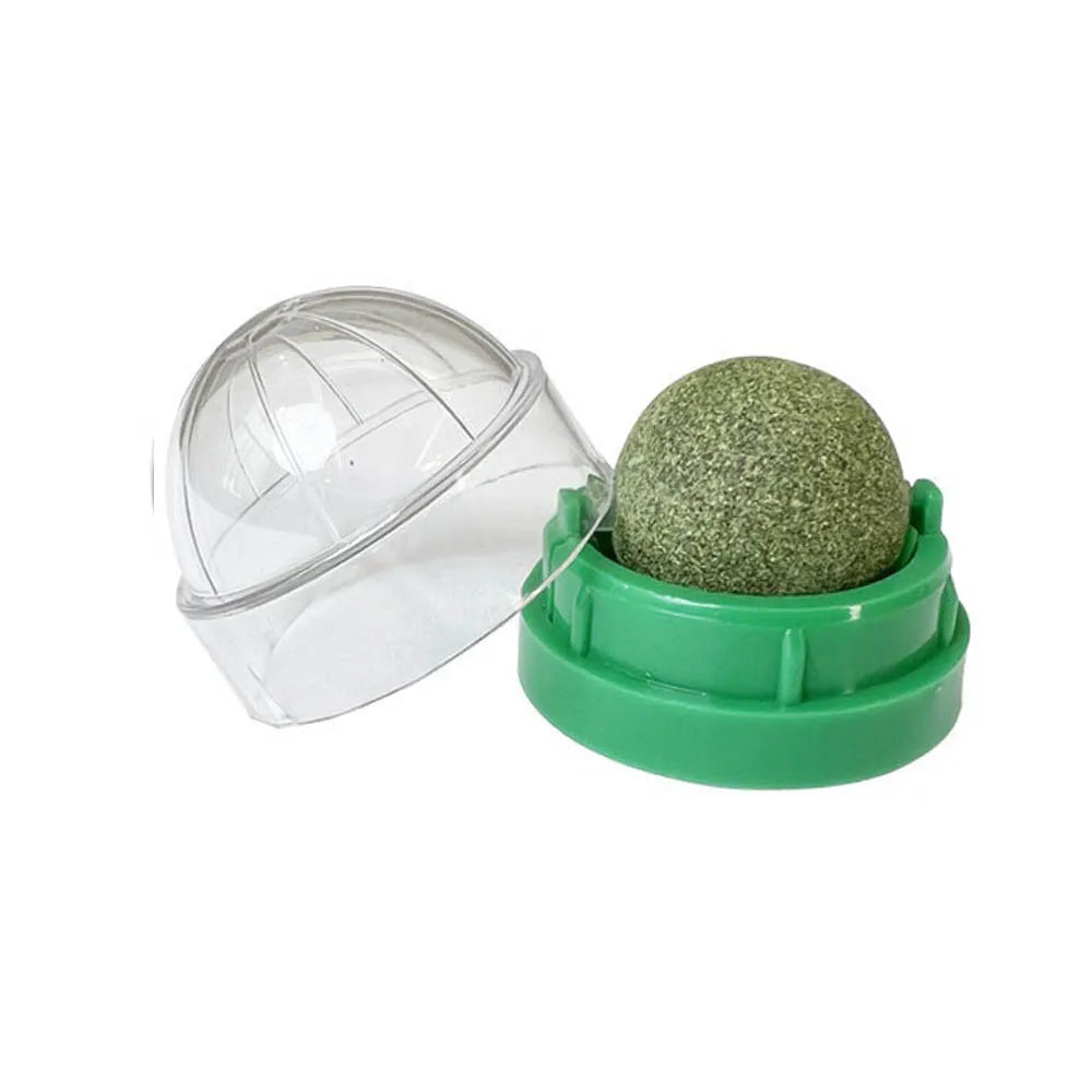 Catnip Wall Stick-On Ball Toy – Natural Cat Grass Treat for Digestion & Fun