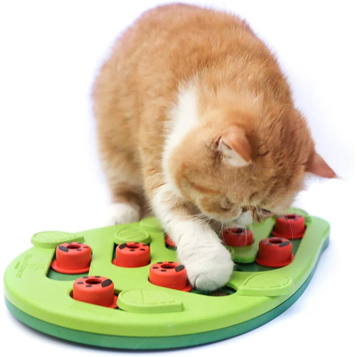 Rainy Day Puzzle & Play – Interactive Cat Treat Puzzle Toy with Scratch Board