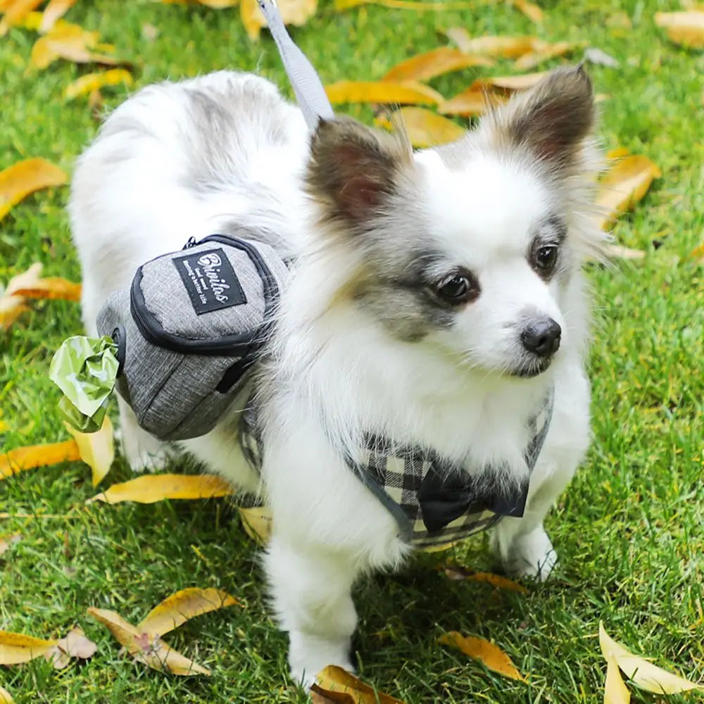 Portable Dog Training Treat Pouch – Outdoor Waist Bag with Poop Bag Dispenser for Puppy Snack Rewards