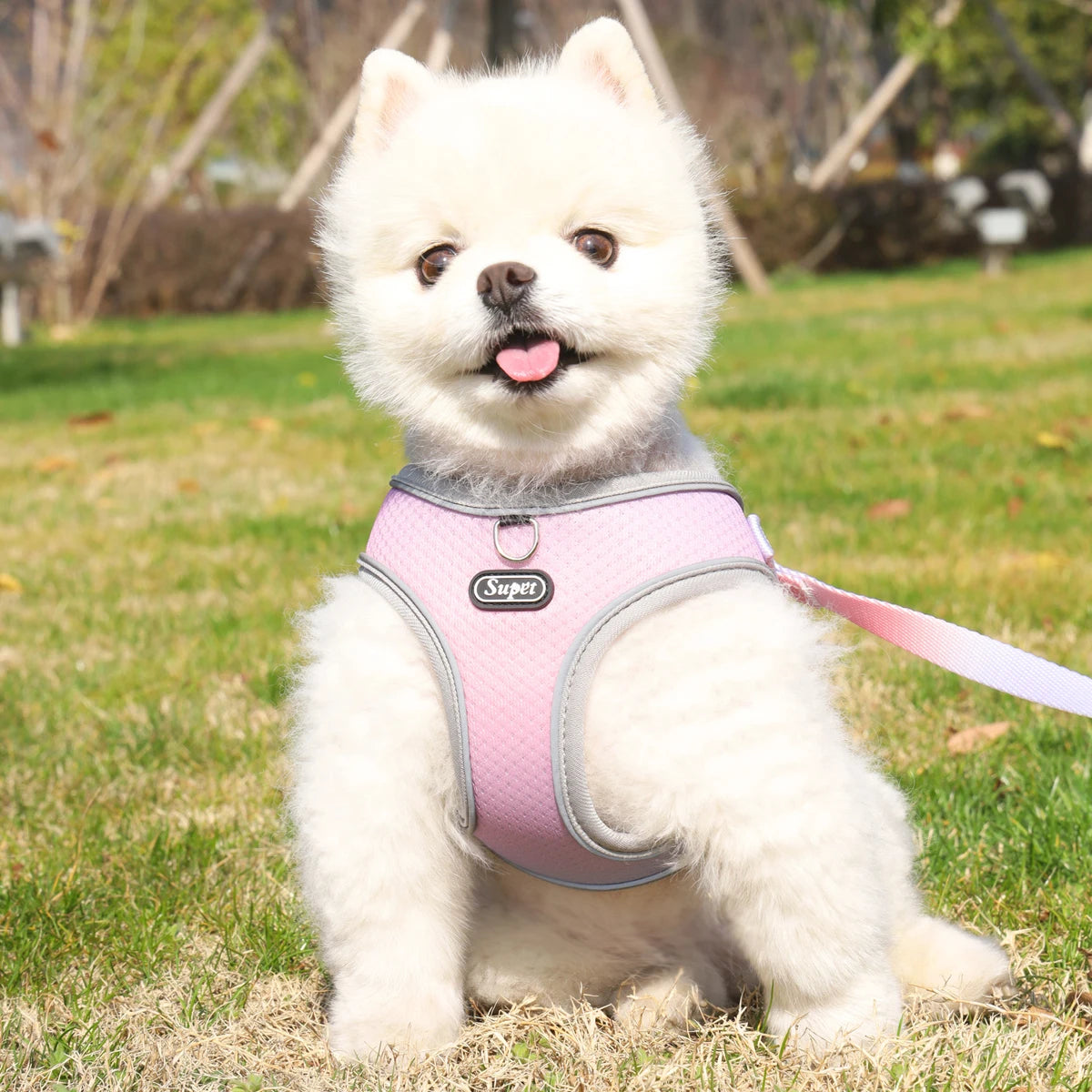 🐾 Supet Step-In Pet Harness – Adjustable, Reflective & Breathable for Dogs & Cats 🐶🐱