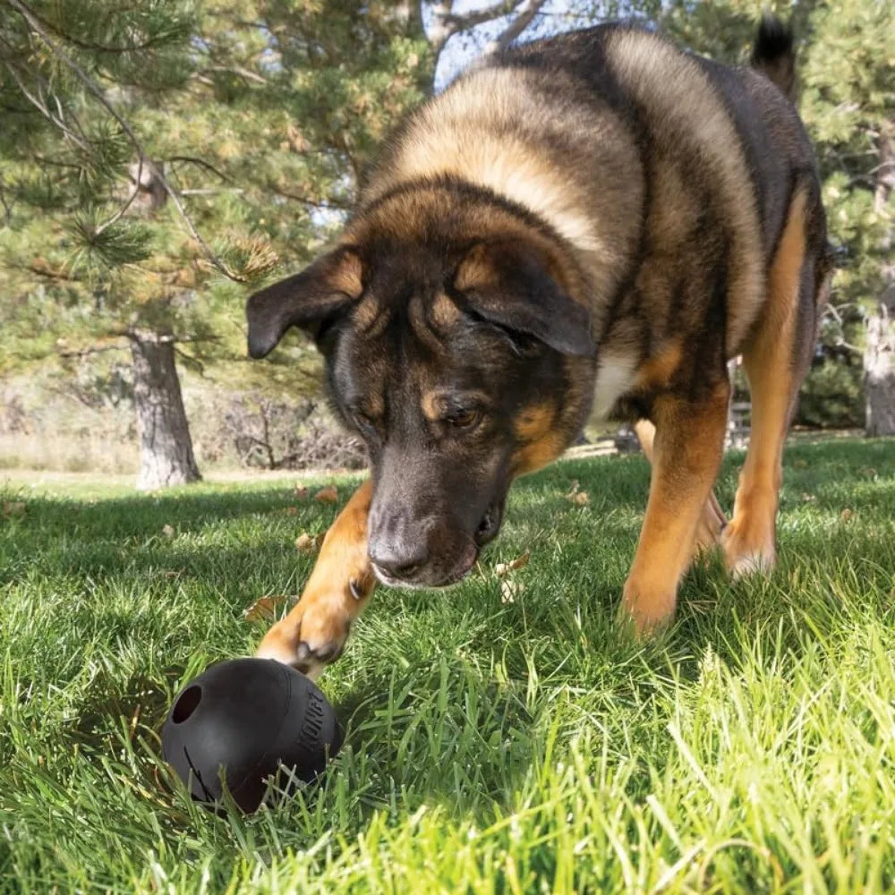 KONG Extreme Ball 2-Pack – Tough Rubber Dog Toys 🐶⚫