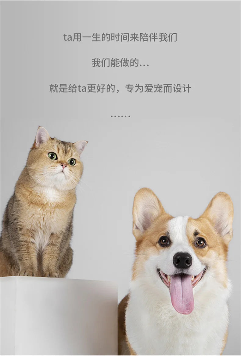 Colorful Slow Feeder Bowl for Cats & Dogs – Anti-Choking Puzzle Food Bowl for Anxiety Relief & Healthy Eating