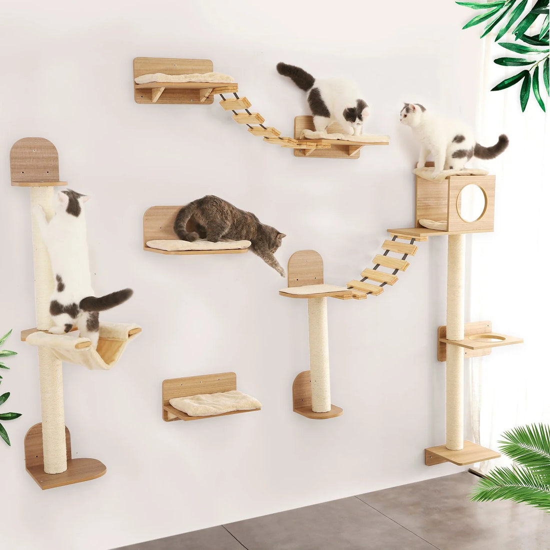 🐾 Wall-Mounted Cat Climbing Rope with Solid Wooden Pedals – Indoor Kitten Training & Claw Grinding Furniture