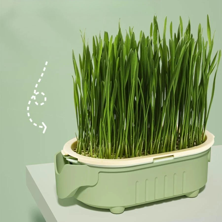 Soilless Hydroponic Growing Cup – Lazy Planting Cup for Hydroponic Cultivation