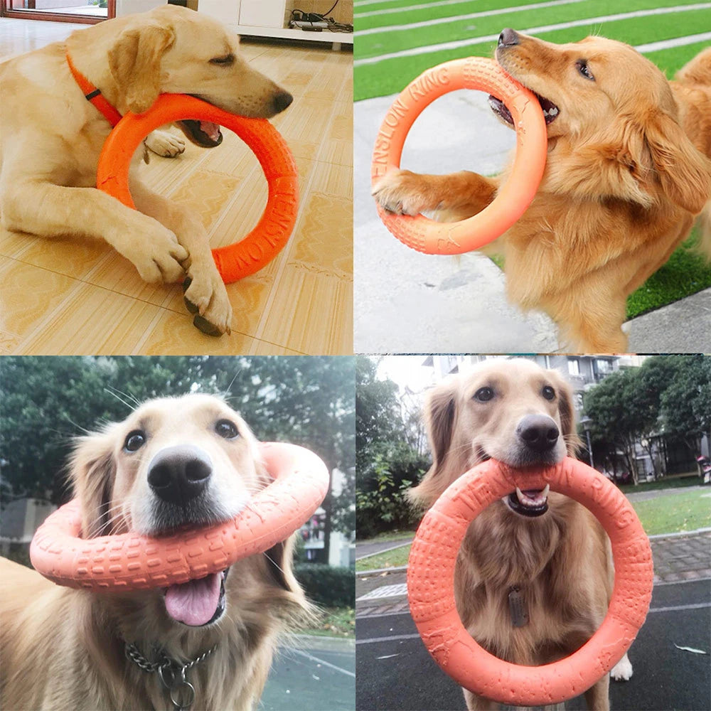 EVA Dog Training Ring Puller – Orange Interactive Flying Disk Toy for Dogs