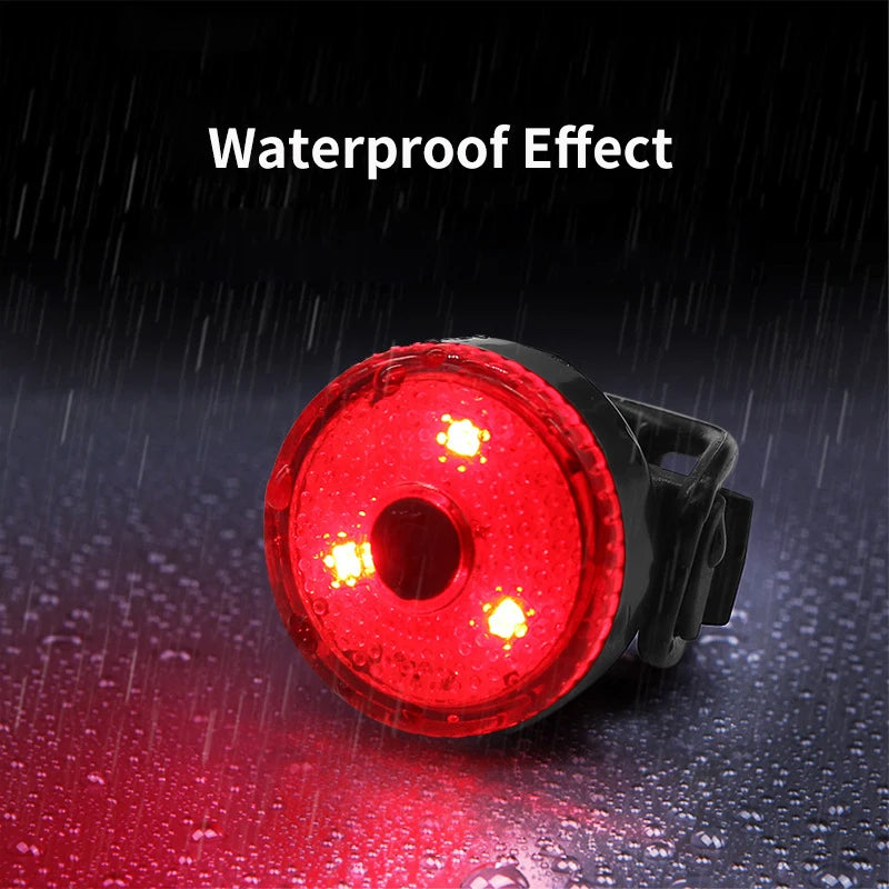 USB Rechargeable LED Pet Collar Pendant – Safety Light for Dogs & Cats, Night Walking Accessory