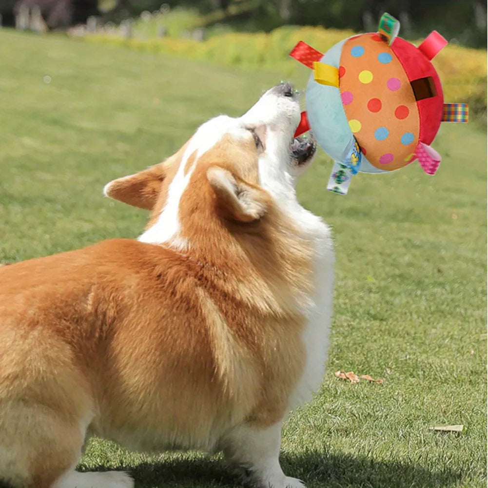 Interactive Ball Dog Toy with Plush Handle – Durable Chew Toy for Training & Stress Relief