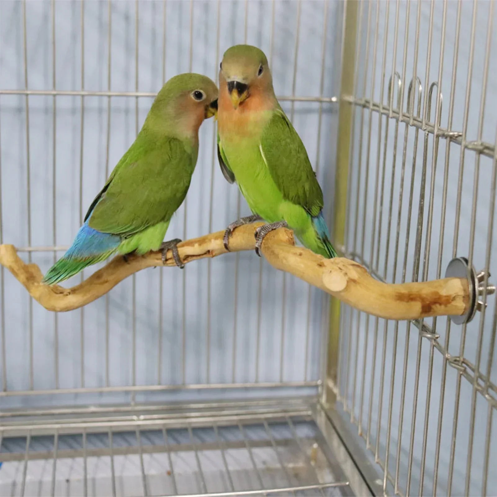 Natural Bird Perch Stand – Climbing & Paw Grinding Branch for Parrots