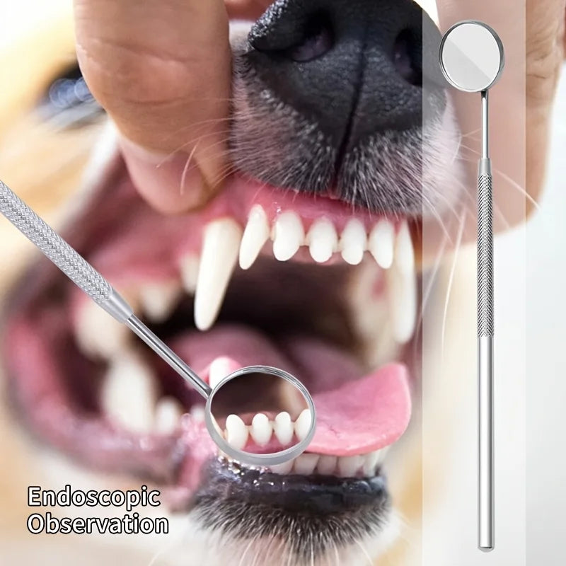 6pcs Soundwave Tartar Remover Kit for Dogs and Cats – Pet Dental Cleaning & Teeth Care Tool Set