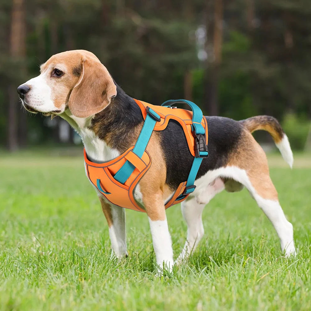 🐕 Mesh Breathable Reflective Dog Harness – Adjustable Nylon Training Vest for Small, Medium & Large Dogs