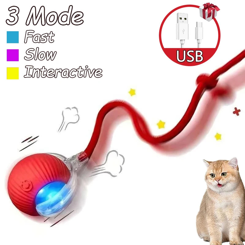 Infrared Interactive Cat Ball Toy – Rechargeable Rolling Tail Toy Imitating Mouse