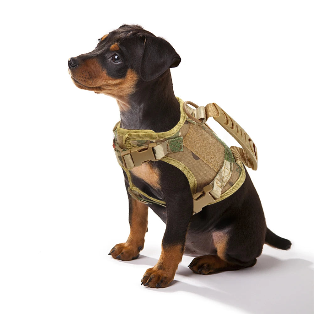 Tactical Cat Harness & Leash – Adjustable Vest for Cats, Kittens & Small Dogs