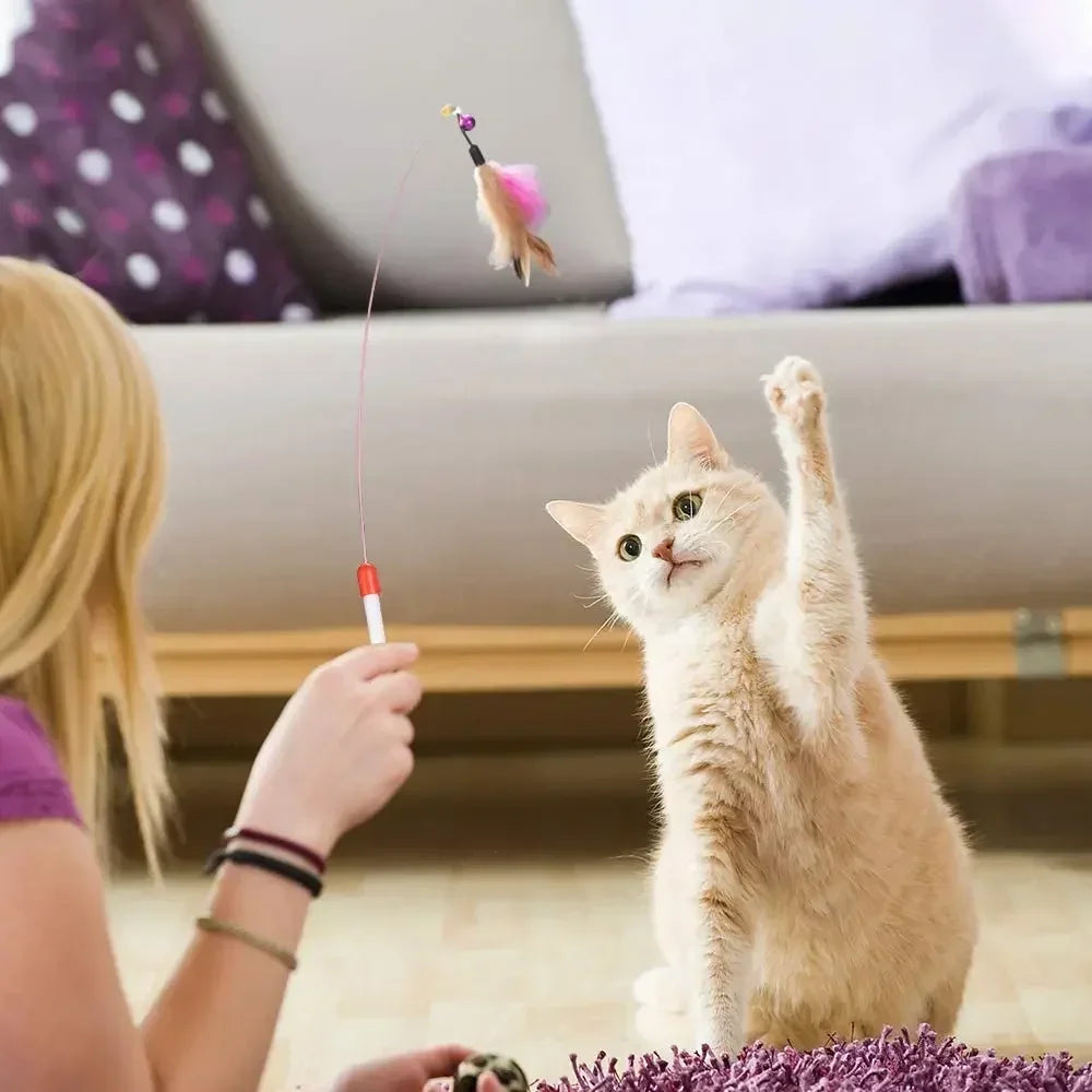 Kitten Toys Variety Pack – Cat Sticks, Mice & Balls