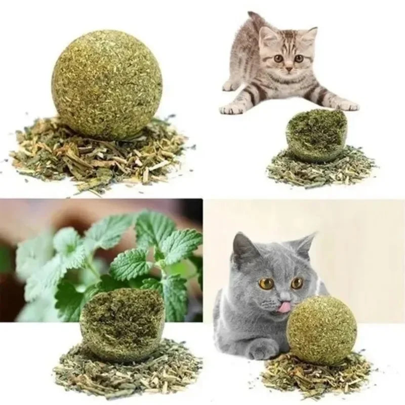 10pcs Natural Mint Catnip Balls – Healthy Toy & Snack for Cats