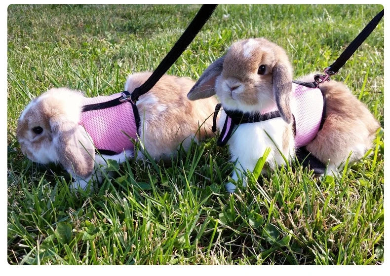 Breathable Pet Vest Harness & Leash Set – Adjustable for Rabbits & Small Pets