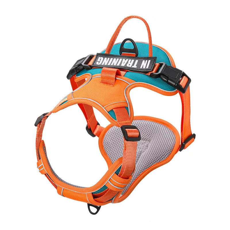 🐾 Personalized Nylon Adjustable Dog Harness – Reflective, Breathable Vest with Leash for Small, Medium & Large Dogs