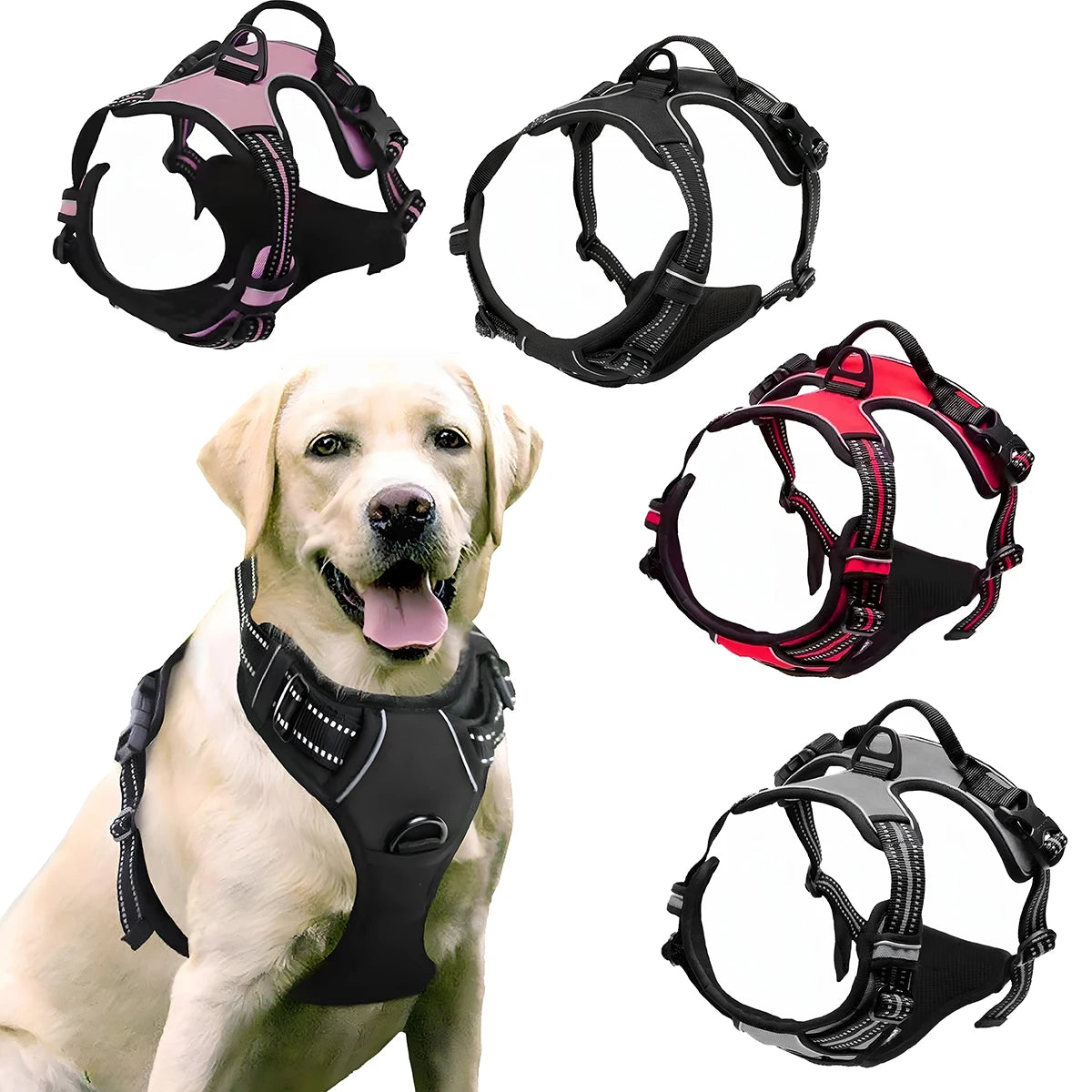 🐶 German Oak Cooling Dog Set – Escape-Proof Harness Vest & Leather Collar