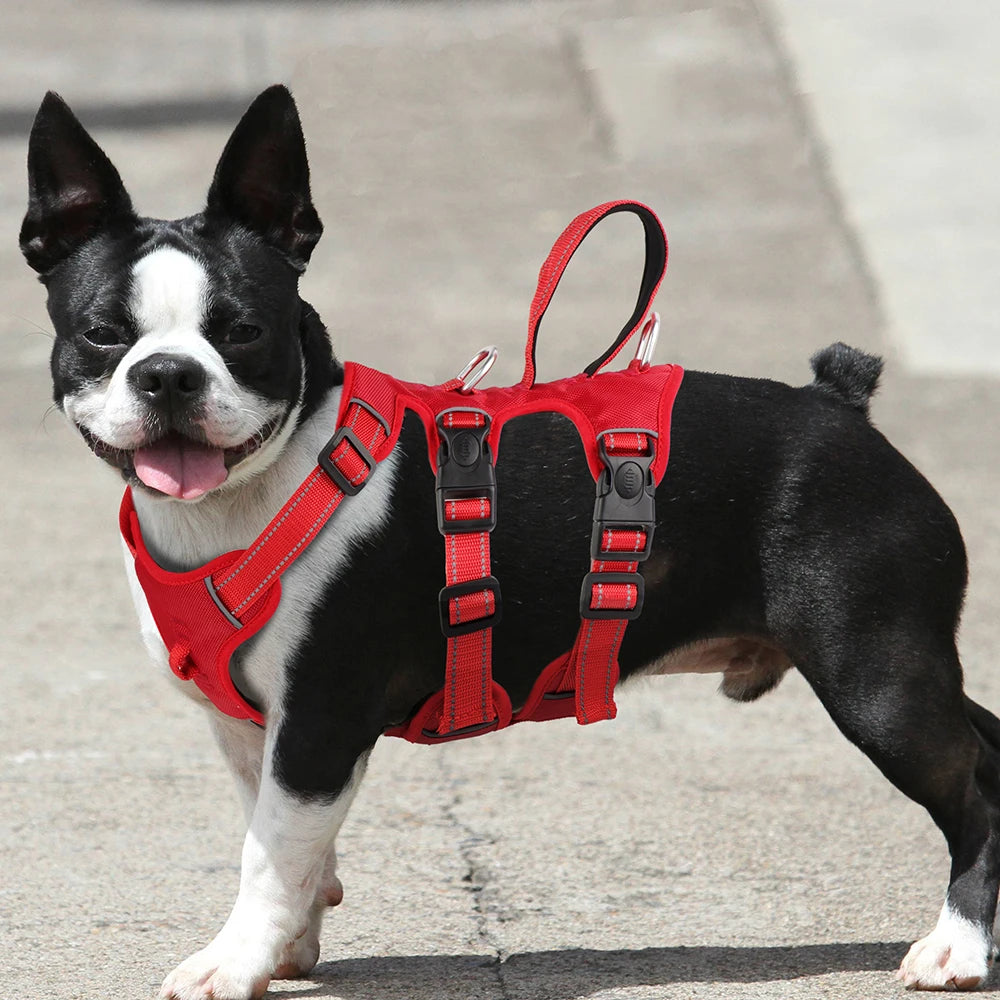 🐾 Waterproof Reflective Dog Harness – Padded & Secure for Outdoor Adventures!