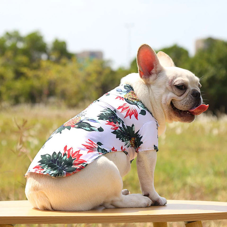 DualPet Strawberry-Shaped Dog Chew Toy – Durable Rubber Food Dispenser for Interactive Play