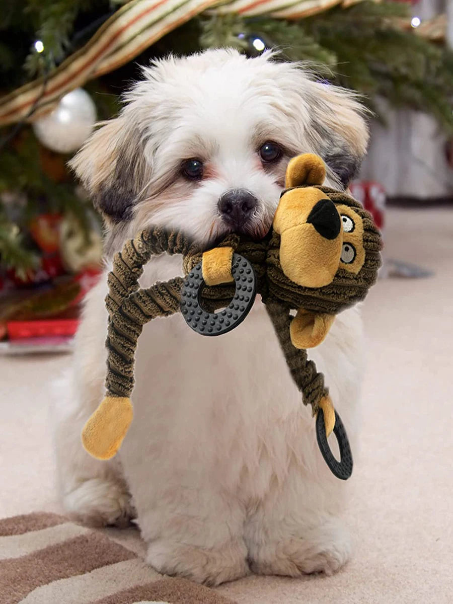 Squeaky Puppy Plush Chew Toy – Monkey Design