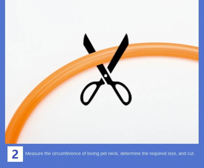 USB Rechargeable LED Glowing Pet Collar – Adjustable Night Light Safety Collar for Dogs & Cats