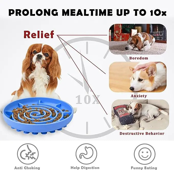 Slow Feeder Pet Bowl – Anti-Slip & Anti-Choking for Cats & Puppies 🐾🍽️