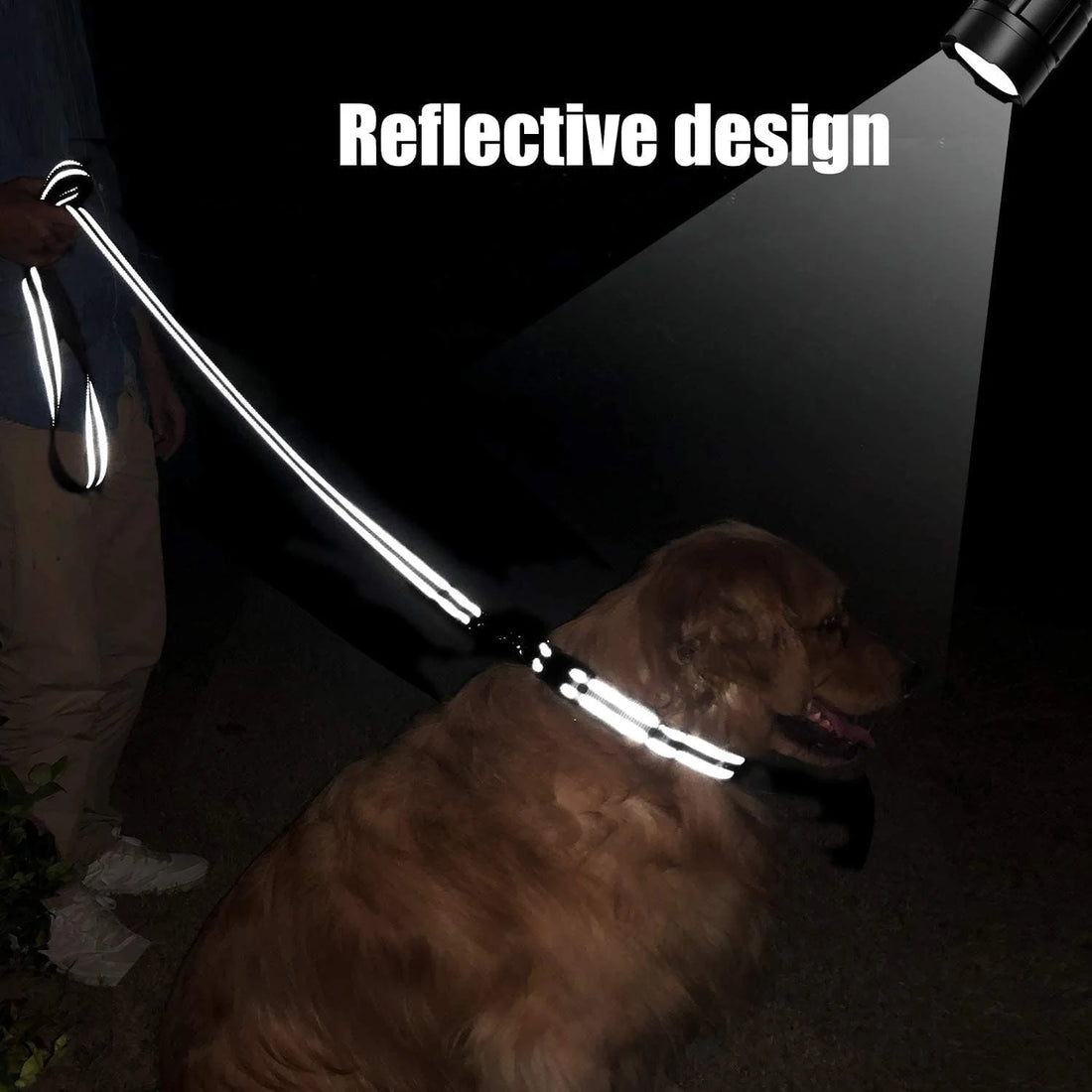 Reflective Dog Leash with Soft Padded Handle – High-Visibility Training Lead