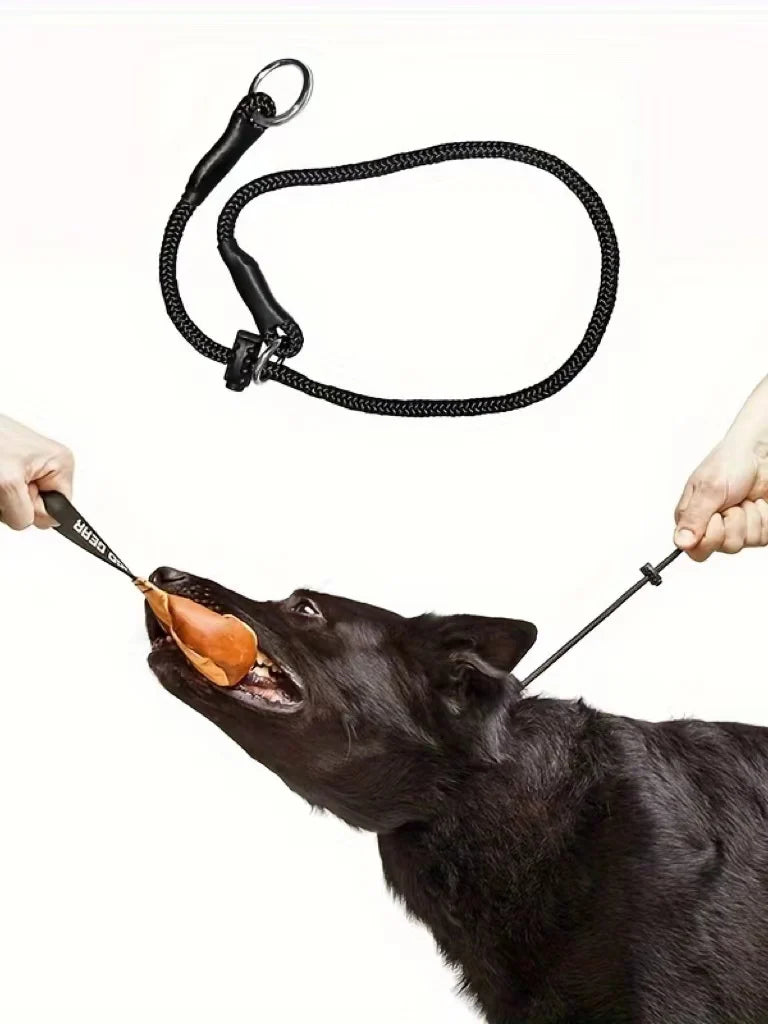 Polyester Dog Training Leash – Durable Adjustable Slip Loop Collar