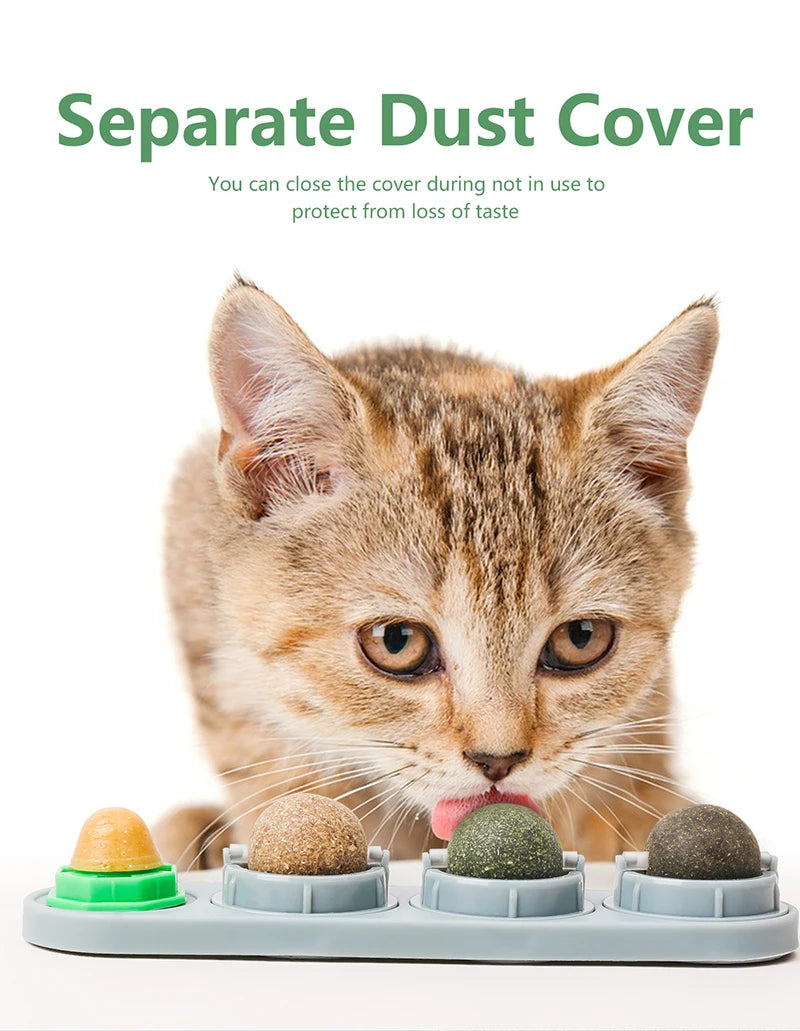 Catnip Silvervine Balls – Edible Wall Chew Toys for Dental & Energy Boost